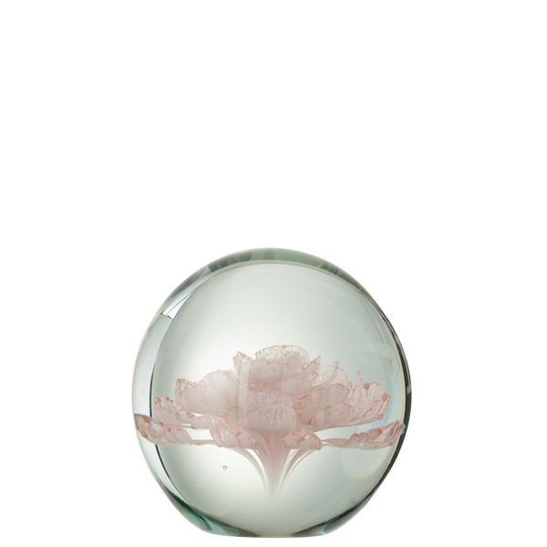 Haus am Meer Briefbeschwerer Ryne | Wayfair.de